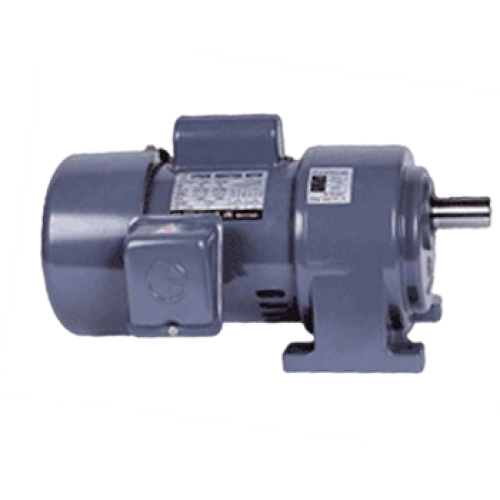 มอเตอร์เกียร์แบบขาตั้งซีพีจี CPG CH 220V Series